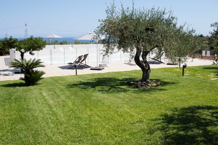 Giardino con ulivo e piscina vista mare dell'Agriturismo Casarancio vicino Milazzo