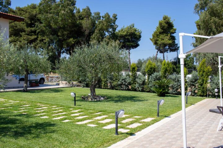 Giardino con ulivi e vialetto in pietra dell'Agriturismo Casarancio vicino Milazzo