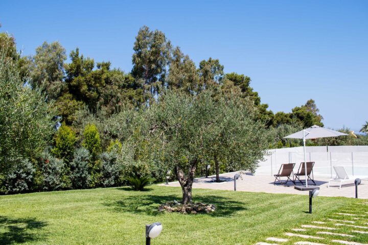 Prato con ulivo e area piscina dell'Agriturismo Casarancio vicino Milazzo